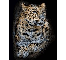Фото Картина за номерами "Гордий леопард" 40х50см, Babylon VP684