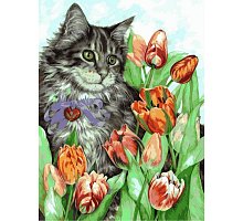 Фото Картина за номерами "Котик у тюльпанах" 30x40см, Babylon VK016