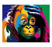 Фото Картина за номерами "Райдужна мавпа" 40х50см, Babylon VP599