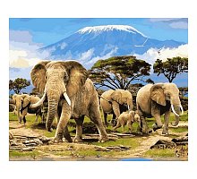 Фото Картина за номерами "Сімейство слонів" 40х50см, Babylon VP622