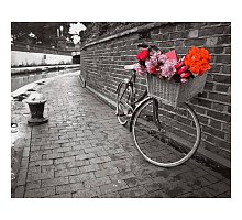 Фото Картина за номерами "Велосипед кохання. Ассаф Франк" 40х50см, Babylon VP695