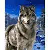 Картина за номерами "Вовк у зимовому лісі" 40х50см, Babylon VP467