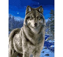 Фото Картина за номерами "Вовк у зимовому лісі" 40х50см, Babylon VP467