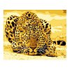 Фото 1 - Леопард, серія Тварини та птахи, малювання за номерами, 40 х 50 см, Ідейка, Леопард причаївся (KH305)