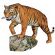 Металлическая сборная 3D модель Bengal Tiger. Metal Earth (ME1029)