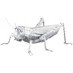Металева збірна 3D модель Grasshopper. Metal Earth (ME1033)