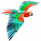 Металева збірна 3D модель Parrot (Папуга), Metal Earth (ICX118)