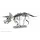 Металева збірна 3D модель Triceratops Skeleton (Скелет Трицератопсу), Metal Earth (MMS101)