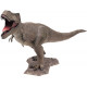 Металева збірна 3D модель Tyrannosaurus Rex, Metal Earth (ME1006)