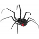 Металлическая сборная модель Black Widow Spider. Metal Earth (ME1038)
