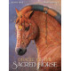Оракул Священного Коня - Oracle of the Sacred Horse. Blue Angel