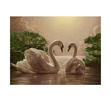 Фото Пара лебедів (любов), серія Тварини та птиці, малювання за номерами, 40 х 50 см, Ідейка, Пара лебедів (KH301)