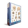 Фото 1 - Пазл Eurographics Людський череп, 1000 елементів (6000-0306)