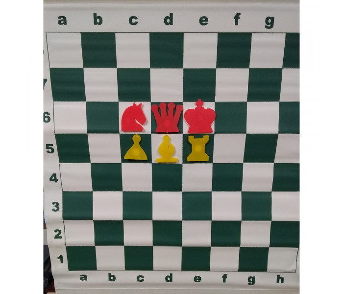 Демонстрационные шахматы 65 x 65 см (винил, пластик, магнитные) (DD04A)