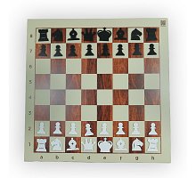 Фото Демонстраційні шахи 80 x 80 см (метал, пластик, магнітні) (Pro-80)