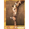 Фото 3 - Пазл Eurographics Жирафи - материнський поцілунок, 1000 елементів (6000-0301)