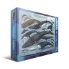 Фото 3 - Пазл Eurographics Кіти та дельфіни, 1000 елементів (6000-0082)