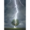 Фото 3 - Пазл Eurographics Блискавка, що ударяє в дерево, 1000 елементів (6000-4570)