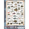 Фото 3 - Пазл Eurographics Морські риби, 1000 елементів (6000-0313)