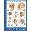 Фото 3 - Пазл Eurographics Людський череп, 1000 елементів (6000-0306)