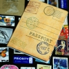 Фото 4 - Обкладинка для паспорта 