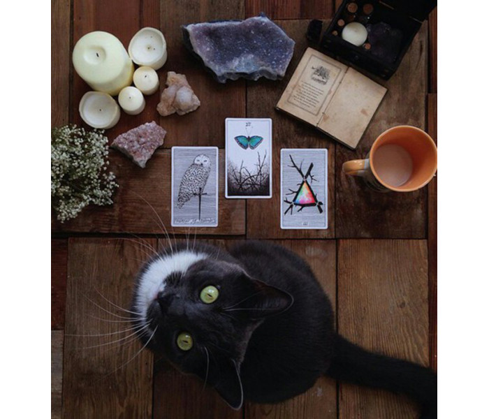 Дикое неизвестное Таро Ким Кранс - The Wild Unknown Tarot