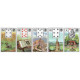 Mlle Lenormand Piatnik - гадальні карти Таро 