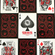 Карти Bicycle Hidden Deck