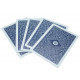 Фокусная колода Copag 310 Stripper Deck