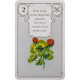 Таро Lenormand Red Owl від AGM