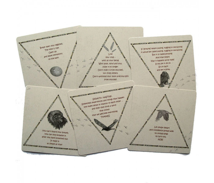 Гадальні карти Raven Cards Oracle by Gabi Bucker. AGM