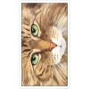 Фото 4 - Таро Cats Eye Tarot (Таро Котячий Погляд). US Games Systems