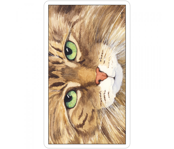 Таро Cats Eye Tarot (Таро Котячий Погляд). US Games Systems