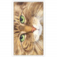Таро Cats Eye Tarot (Таро Котячий Погляд). US Games Systems