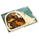 Головоломка Cat Basket | Корзина для кошек. Constantin Puzzles. C5066/6d