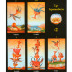 Таро Иеронима Босха | Bosch Tarot, ANKН