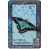 Фото 3 - Оракул Сни Тварин | Animal Dreaming Oracle Cards. Blue Angel