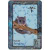 Фото 4 - Оракул Сни Тварин | Animal Dreaming Oracle Cards. Blue Angel