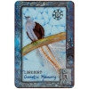 Фото 5 - Оракул Сни Тварин | Animal Dreaming Oracle Cards. Blue Angel