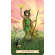 Таро Ведьма Каждый День - Everyday Witch Tarot. Llewellyn