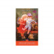 Joyful Inspirations Card - Карты Вдохновения Радостью. U.S. Games Systems