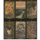 Таро Заповедного Леса | Tarot of the Secret Forest, Lucia Mattioli, Lo Scarabeo