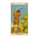 Таро Новое Видение (Tarot of the New Vision), ANKH