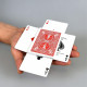 Карты для фокусов Bicycle Haunted Deck