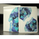 Карти Memento Mori Blue Edition