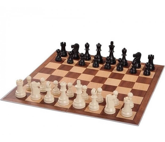 Шахматы DGT Chess Starter Box Grey, 43 x 43 см (CHCA11 grey)