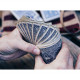 Карти Bicycle Vintage 1900 Blue від Ellusionist