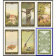 Оракульні карти Ленорман - Lenormand Oracle Cards. Lo Scarabeo