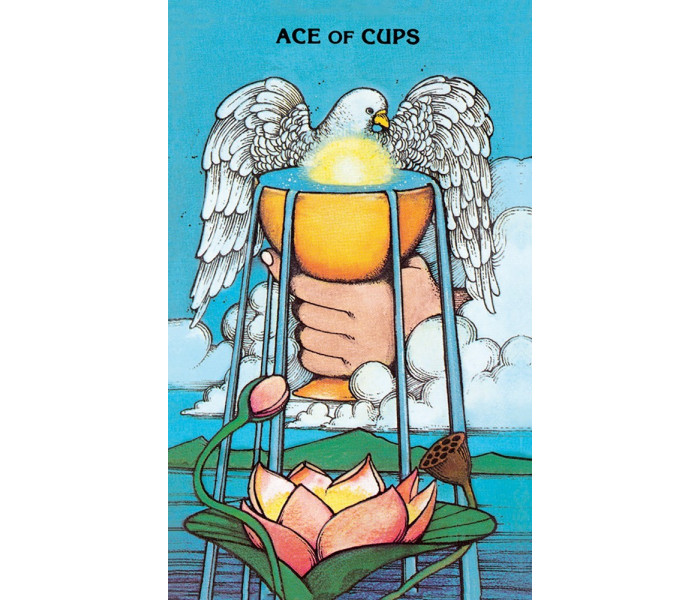 Таро Моргана-Гріра (у бляшанці) - Morgan-Greer Tarot in a tin. US Games Systems