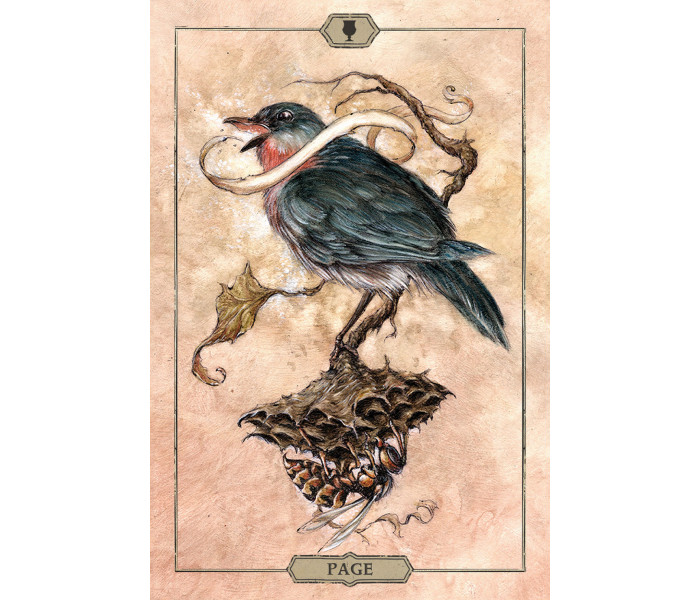Таро Тиші - Hush Tarot. US Games Systems